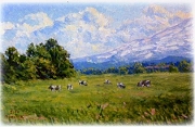 img023-1.jpg