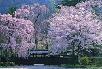 img046-3.jpg
