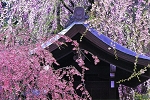 img046.jpg